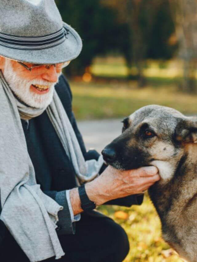 Read more about the article Best Emotional Support Dogs for Seniors