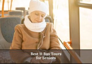 Read more about the article 11 Best Bus Tours for Seniors: Fun and Exciting Adventures await!
