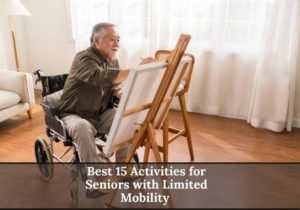 Read more about the article Best 15 Activities for Seniors with Limited Mobility to Keep Them Active and Cognitively Sharp