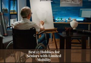 Read more about the article Best 13 Hobbies for Seniors with Limited Mobility