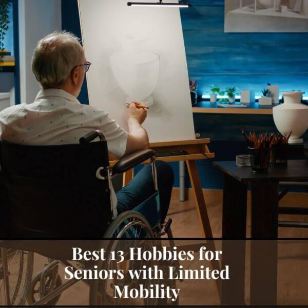 11 Best Bus Tours for Seniors Fun and Exciting Adventures await!