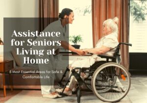 Read more about the article Assistance for Seniors Living at Home: 8 Most Essential Areas for Safe & Comfortable