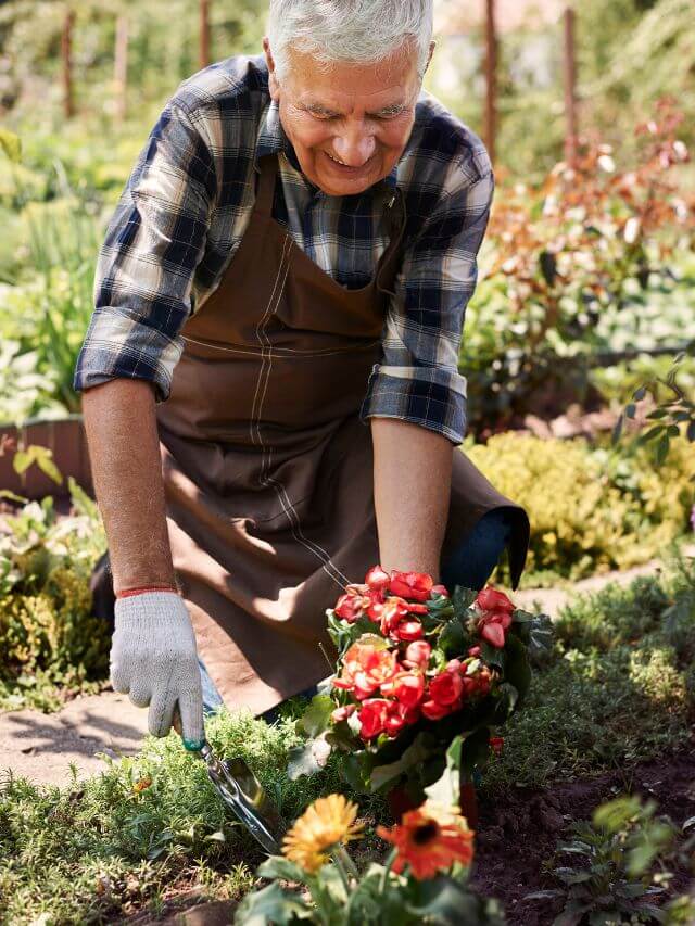 Read more about the article 7 Best Hobbies for Retired Men